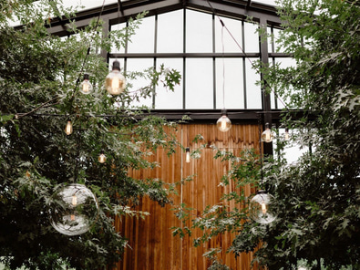 Gorgeous Glasshouse in Morningside image 8