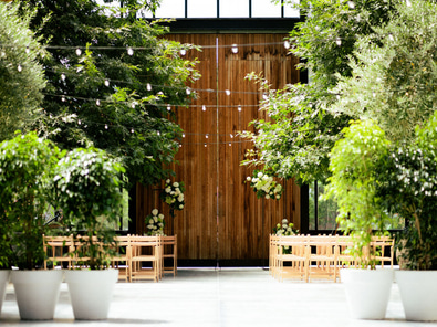 Gorgeous Glasshouse in Morningside image 3