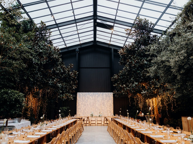 Gorgeous Glasshouse in Morningside image 9