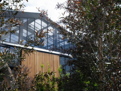 Urban Chic Glasshouse in Morningside image 3