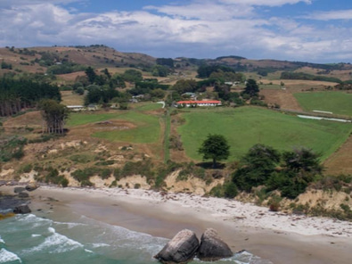 Iconic Coastal Historic Property in Otago image 5