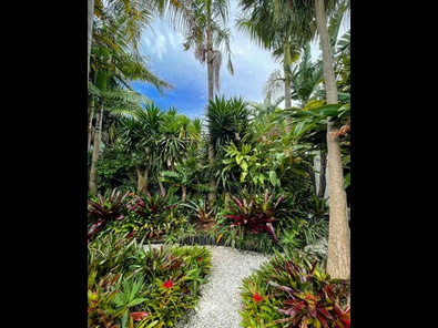 EXQUISITE PONSONBY VILLA WITH EXOTIC GARDEN image 9