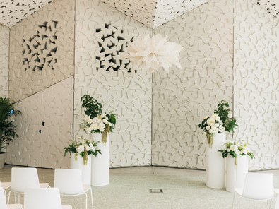 ilex  image 7