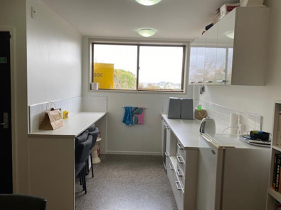 Grey Lynn Office Available  image 5