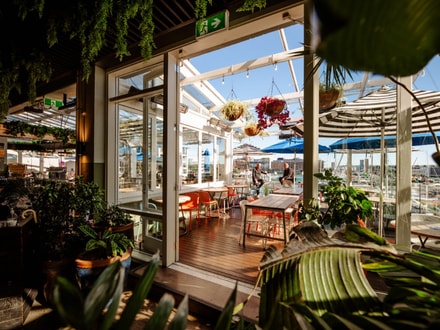 Events at Dr Rudi's