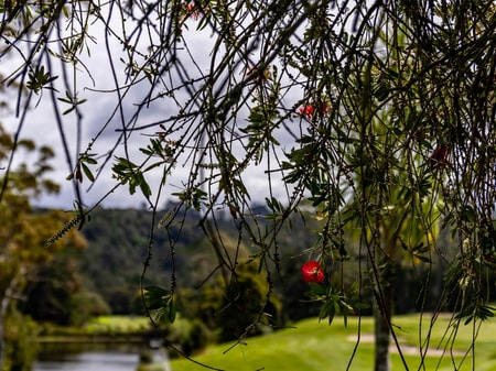 North Shore Golf Club Shoot Location 
