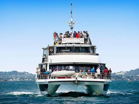 Unforgettable Functions On The Water 