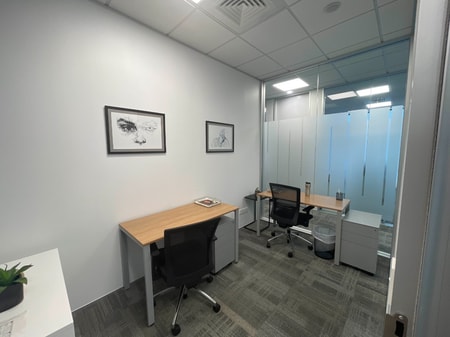 Small Private Office Sylvia Park
