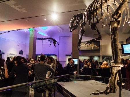 Cocktails Amongst The Dinosaurs
