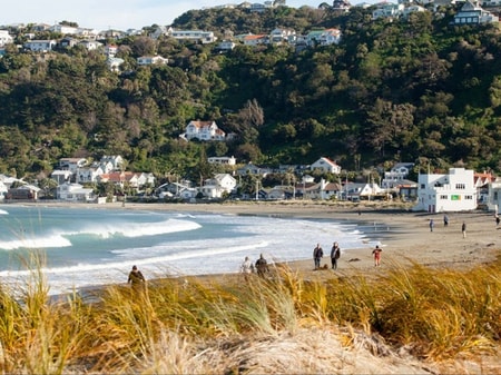 Lyall Bay WorkHub