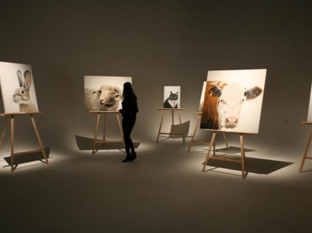 Studio Event Space Ponsonby