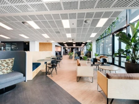 Bizdojo Grey Lynn Coworking 