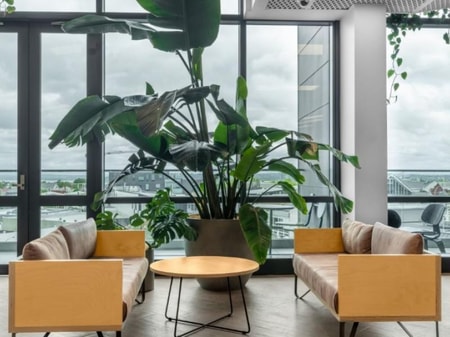 Flexible Office Solutions in Ponsonby 