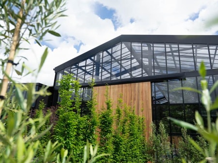 Urban Chic Glasshouse in Morningside