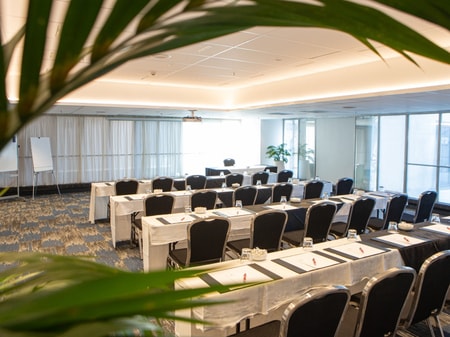Large Meeting/ Conference Rooms in Wellington