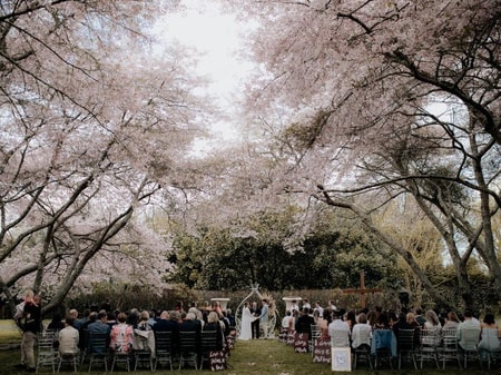 Beautiful Cambridge Wedding Venue