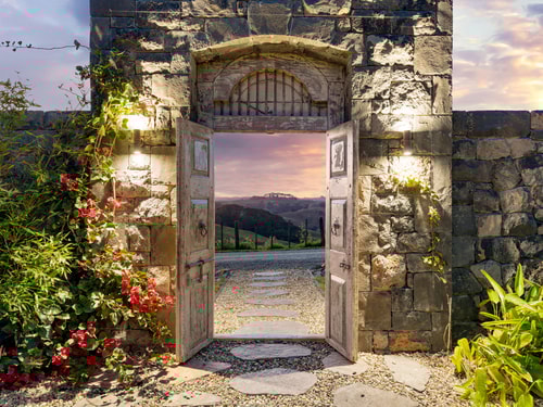 Auckland’s Hidden Photo Paradise