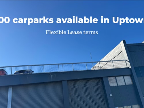 Open and Secure Parks - Eden Terrace