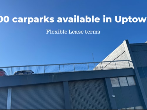 Open and Secure Parks - Eden Terrace