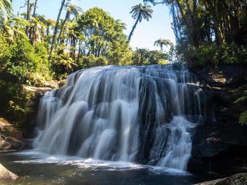 Rural land w rain forest, paddock, waterfalls