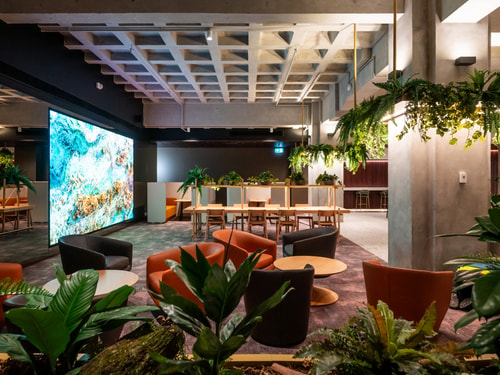 Flexible Desk Space Midtown Auckland