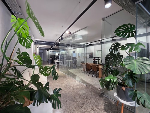Shared office space in Takapuna