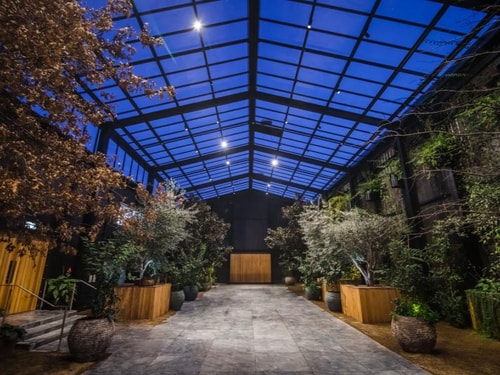 Gorgeous Glasshouse in Morningside