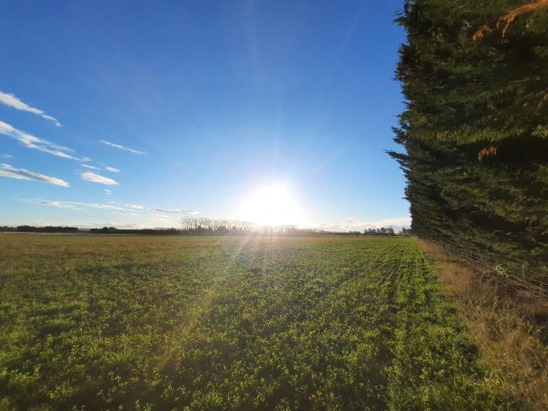 Shared Land Space almost in town (Ashburton) image 0