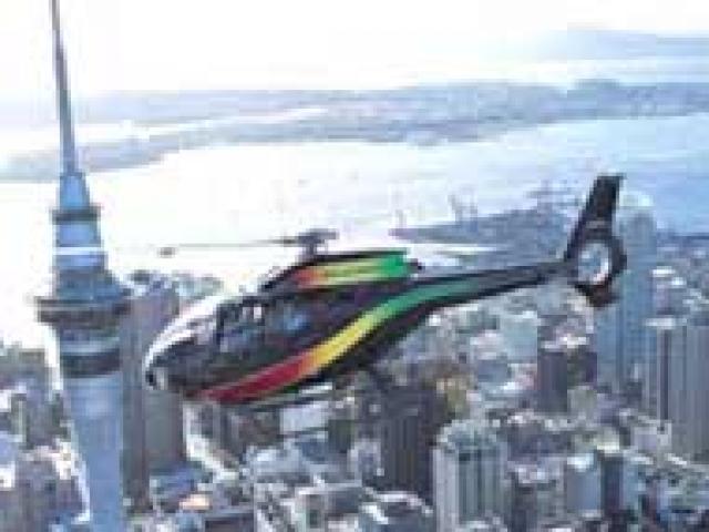 Helicopter Syndicate 1/4 share image 0