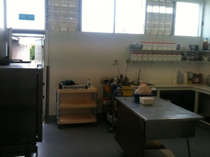 Commercial Kitchen Te Atatu Peninsular image 0