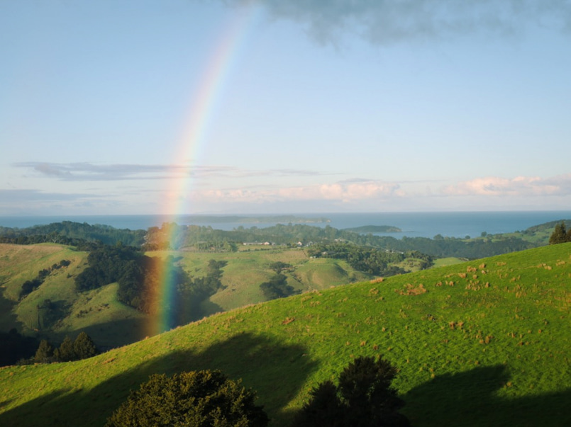 Kauri Ora Farms  image 1