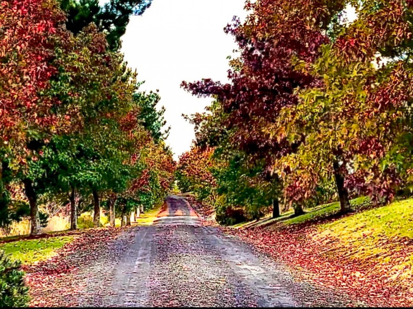 A Storybook Setting for Film or Photography image 0