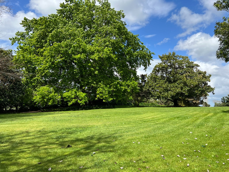 Hidden Oak - Rural Garden Shoot Location image 1