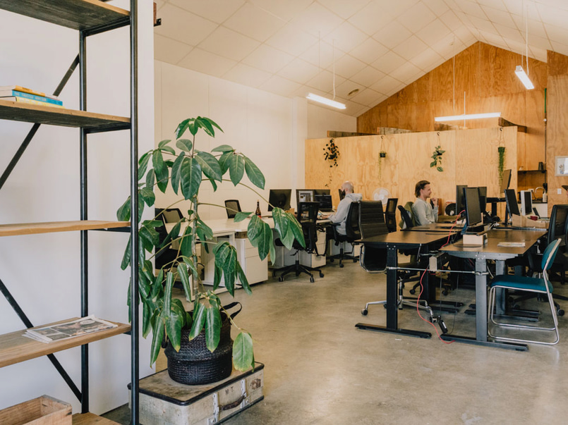Wasted Talent | Raglan Coworking Space image 1