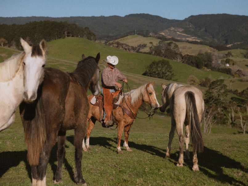 Ness Valley Ranch – Film Location with Horses image 0