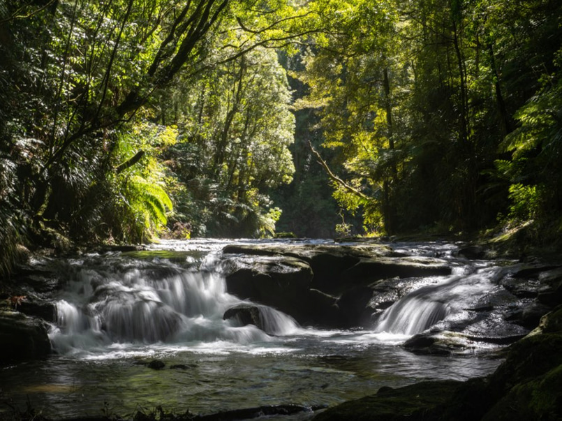 Rural land w rain forest, paddock, waterfalls image 2