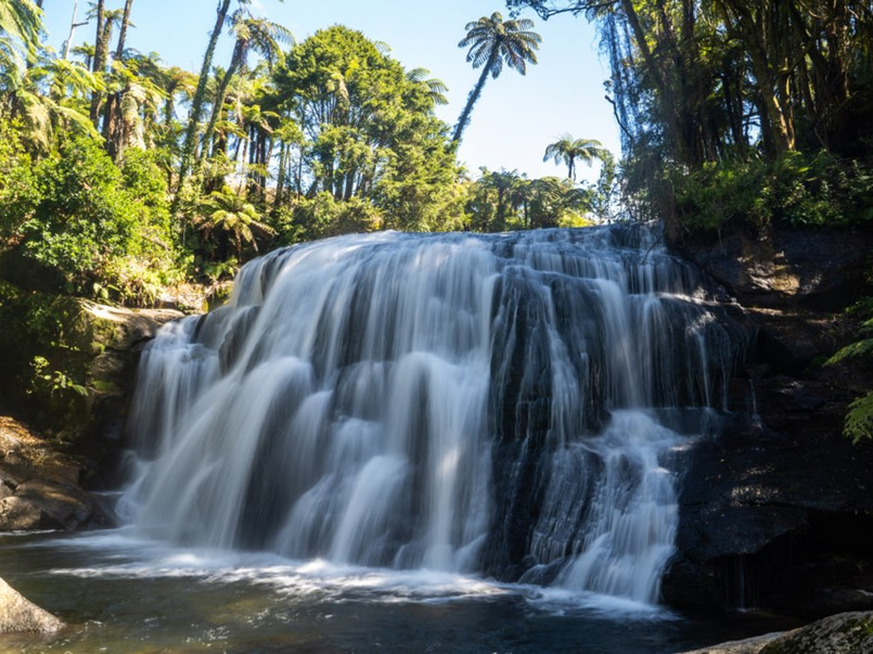 Rural land w rain forest, paddock, waterfalls image 0