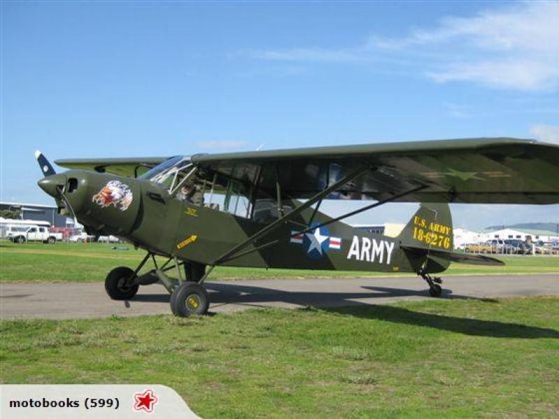Share of Piper PA18 image 1