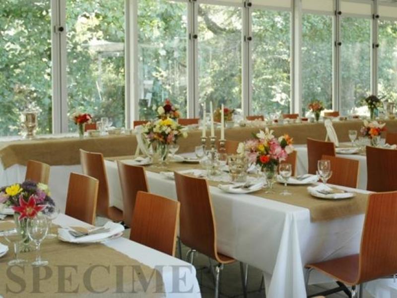 Vintage Wedding at The Waterlily Gardens image 2
