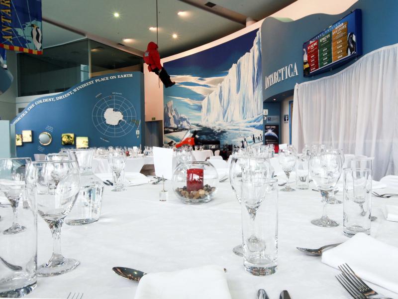 International Antarctic Centre - The Atrium image 1