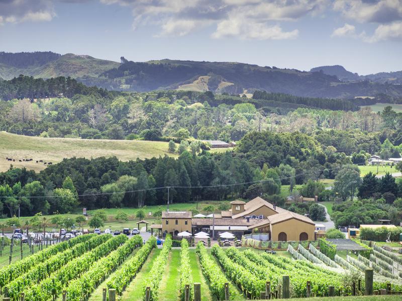 Ascension Wine Estate Functions image 1