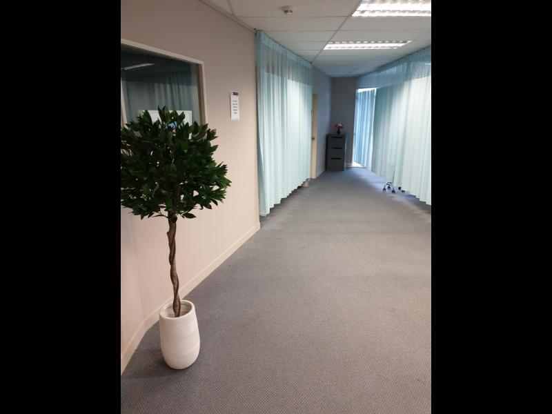 **Clinic / Office rooms for Rent in Tauranga image 1