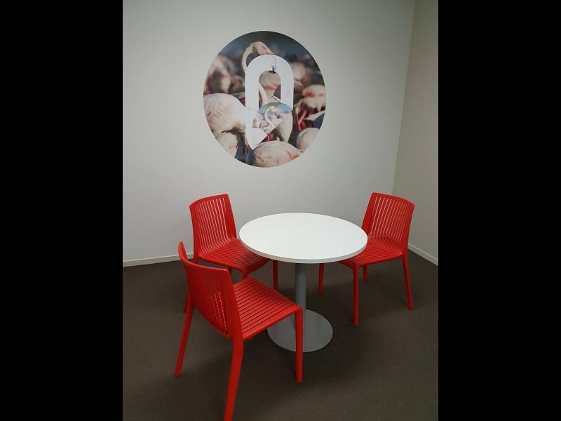 Desk space in open plan Flat Bush office image 2