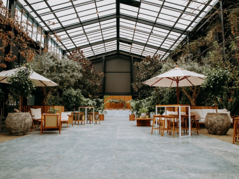 Gorgeous Glasshouse in Morningside image 1