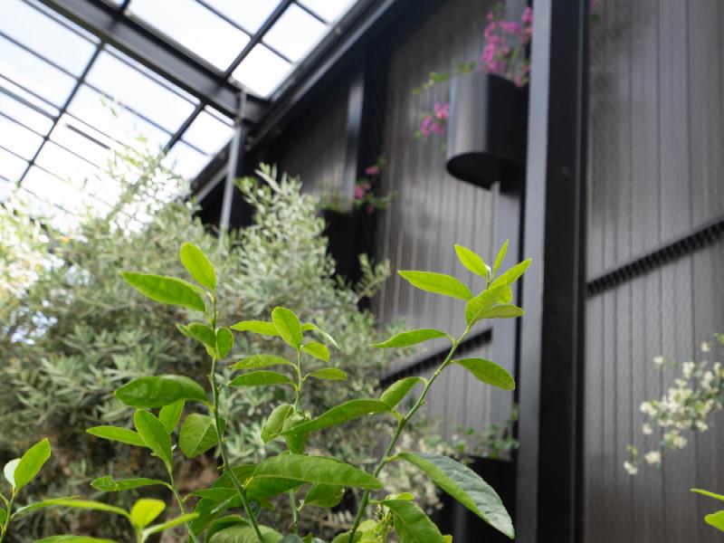 Urban Chic Glasshouse in Morningside image 1