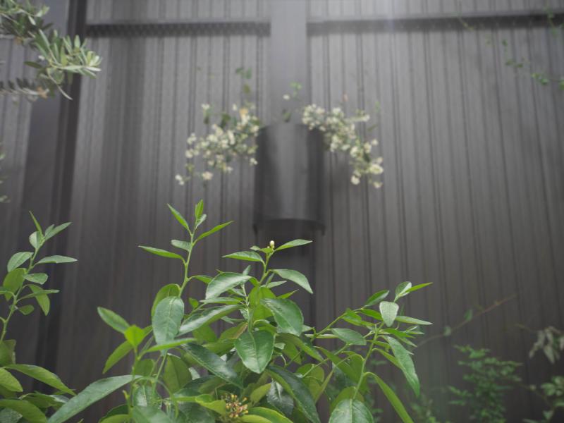 Urban Chic Glasshouse in Morningside image 0