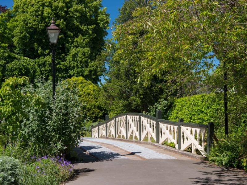 Picturesque Shoot Location in Christchurch image 2