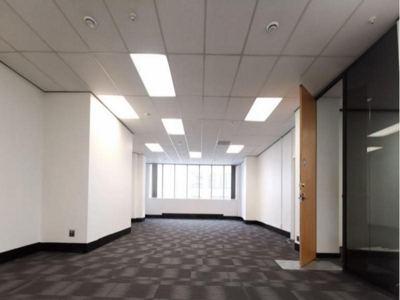 Auckland Central Office for Lease image 1