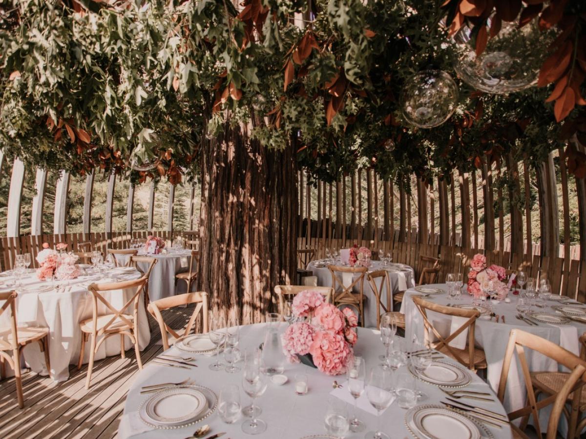 Sharedspace > Event Space > Stunning Treehouse Venue